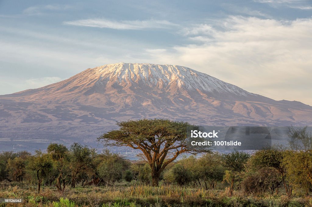 8 Days Lemosho Route