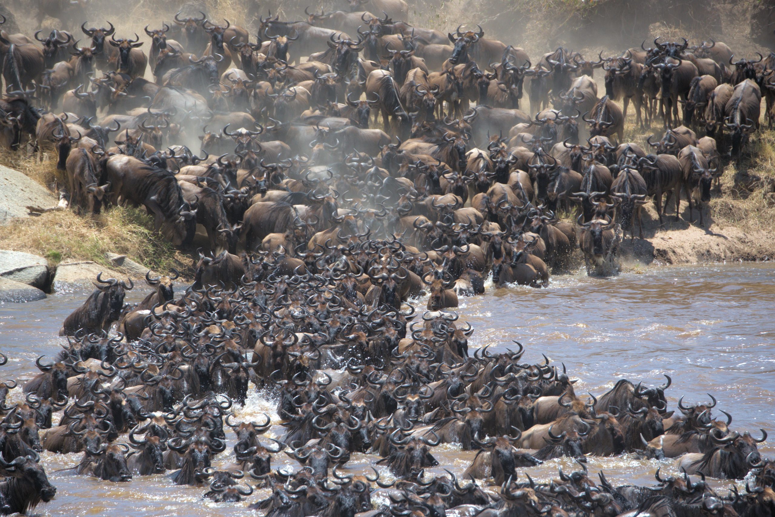 13 Day Budget Tanzania Safari