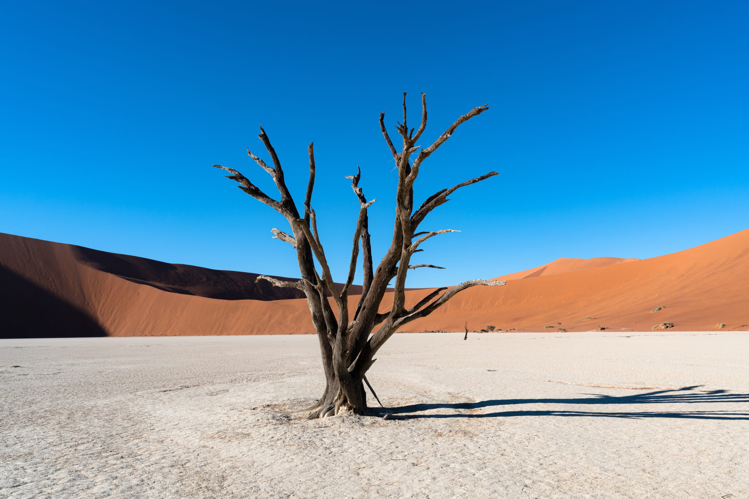 NAMIB NAUKLUFT TOUR