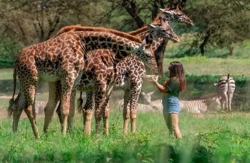 ULTIMATE ADVENTURE 7DAYS SAFARI & ENCHANTING ZANZIBAR