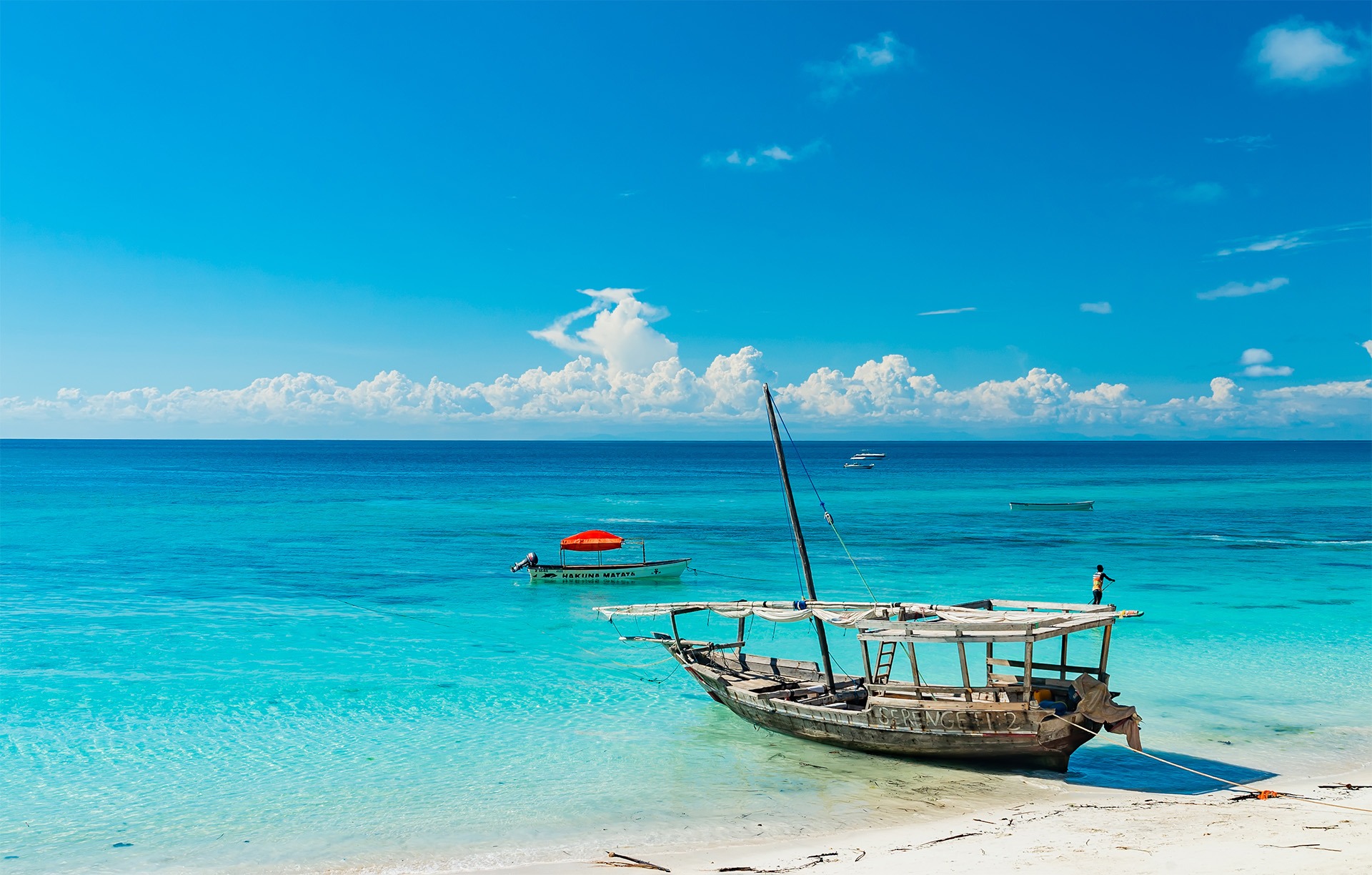 11 Day Safari Trip Zanzibar & Tanzania