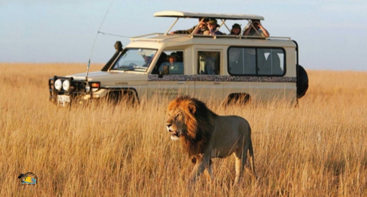 1-Day Fly-in Safari from Zanzibar to Mikumi National Park