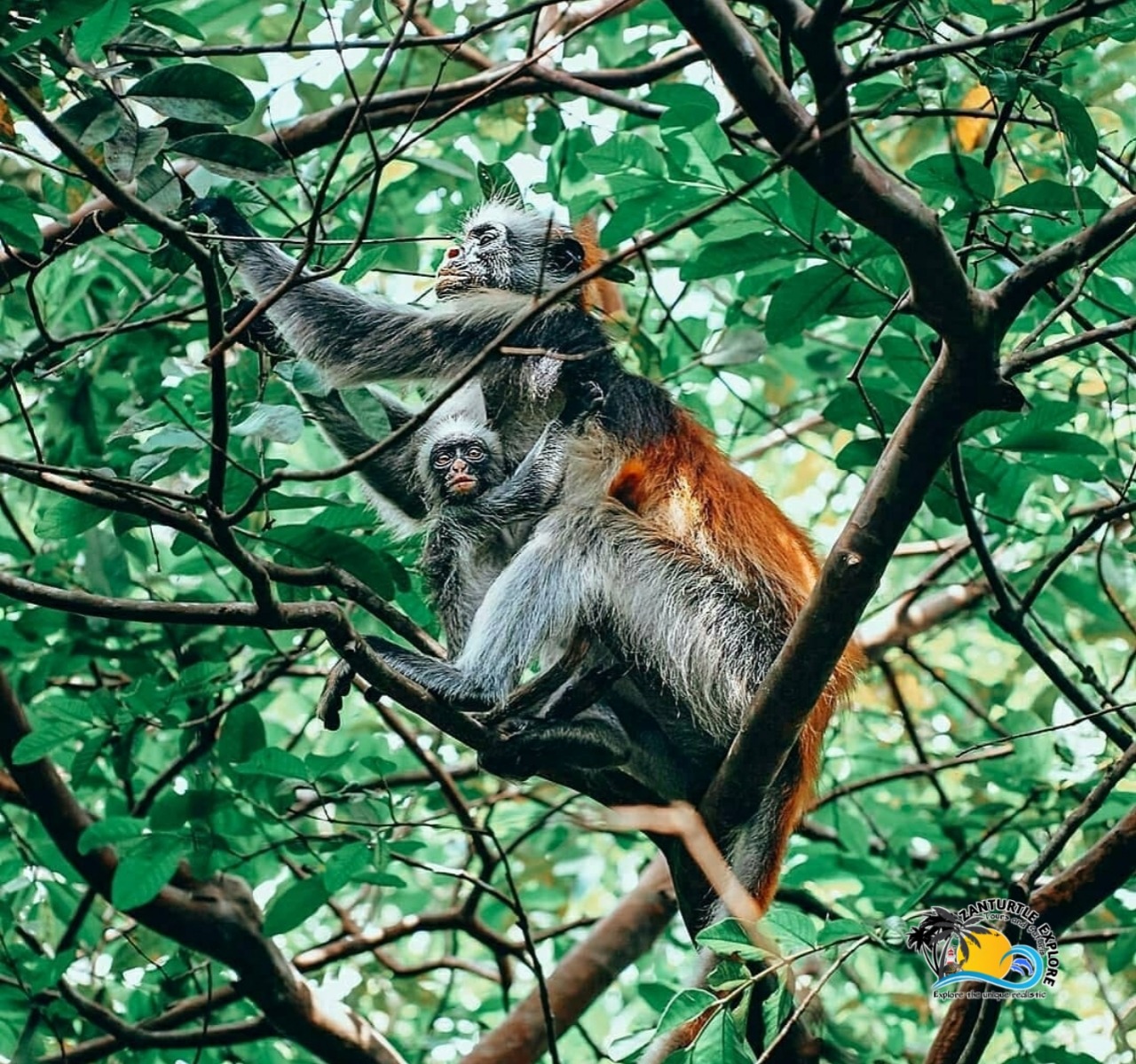 3 Days Zanzibar Escape: Sun, Culture & Beaches