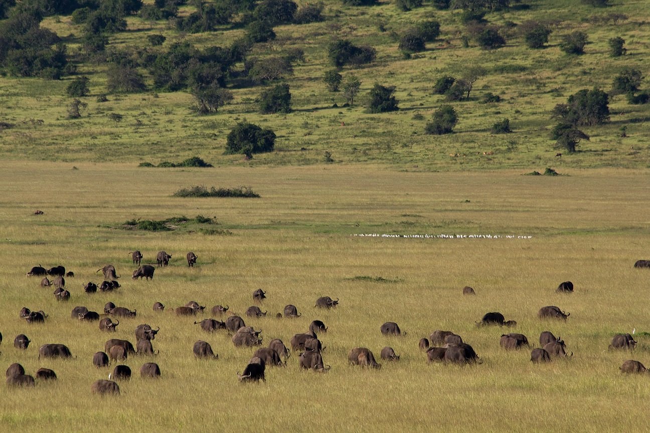 6 Days Rwanda Wildlife Safari