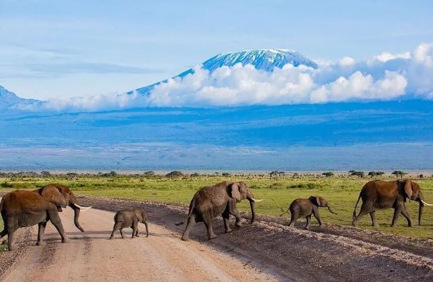 6 Days Masai Mara, Nakuru, Amboseli Group Safari