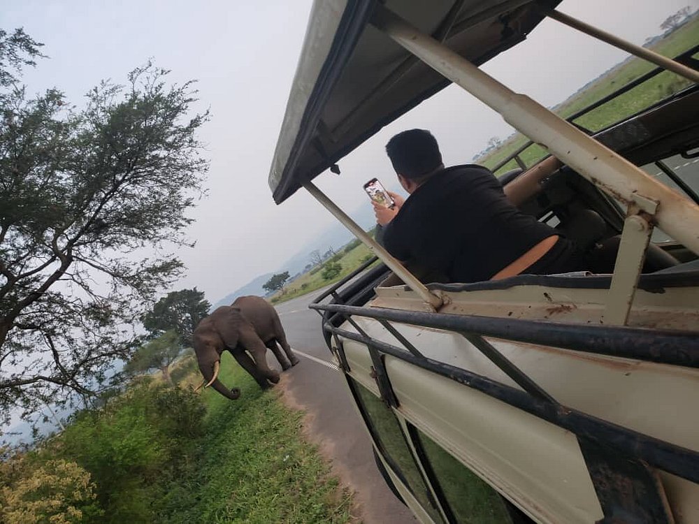 10 Days Uganda Wildlife Safari
