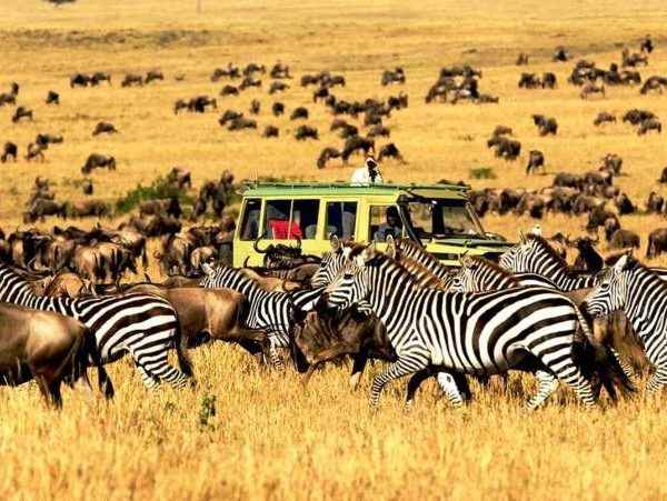 4 Days/3 Nights Lake Manyara/ Serengeti / Ngorongoro Adventure