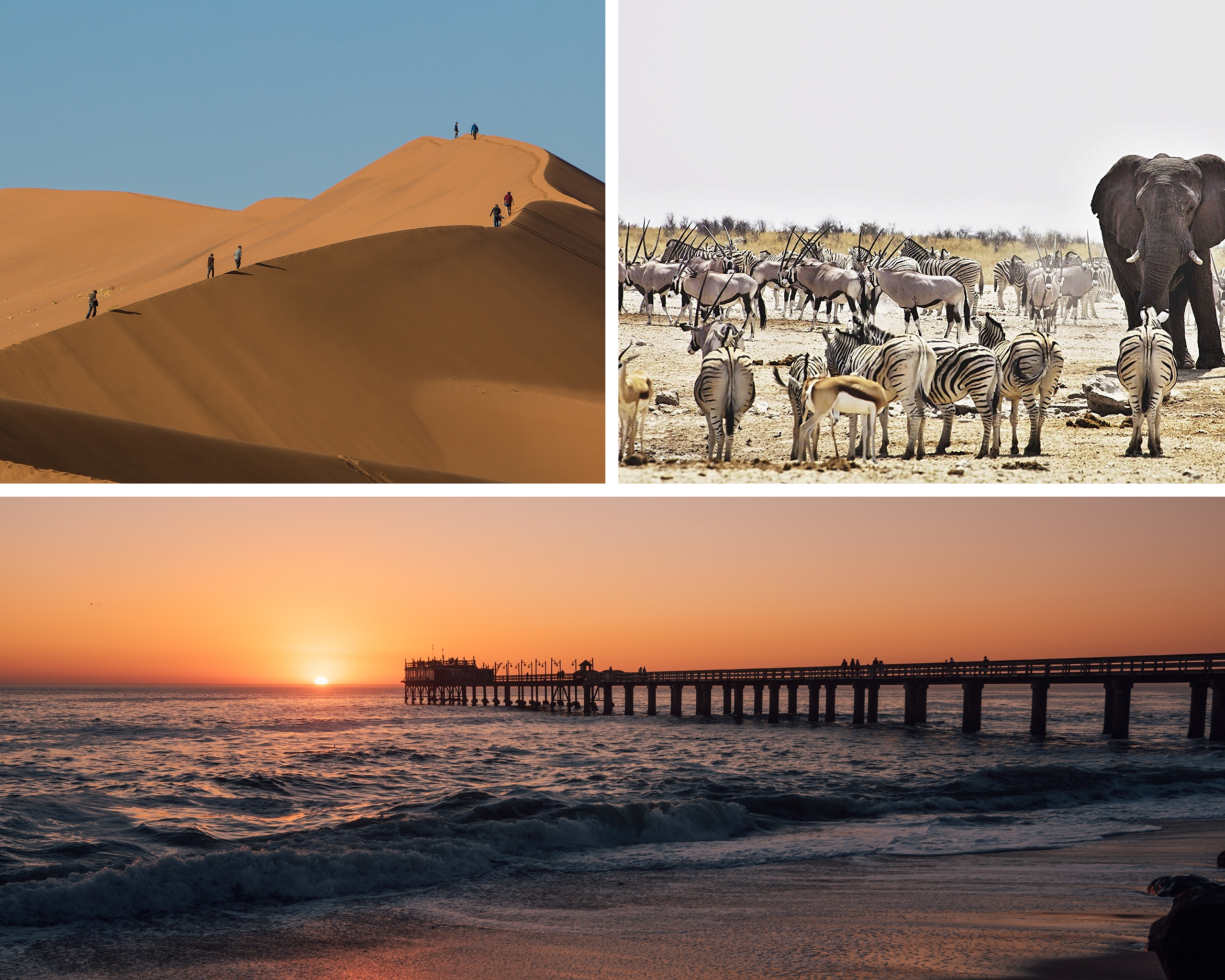 6 Day Dunes and Wildlife Accommodated Safari
