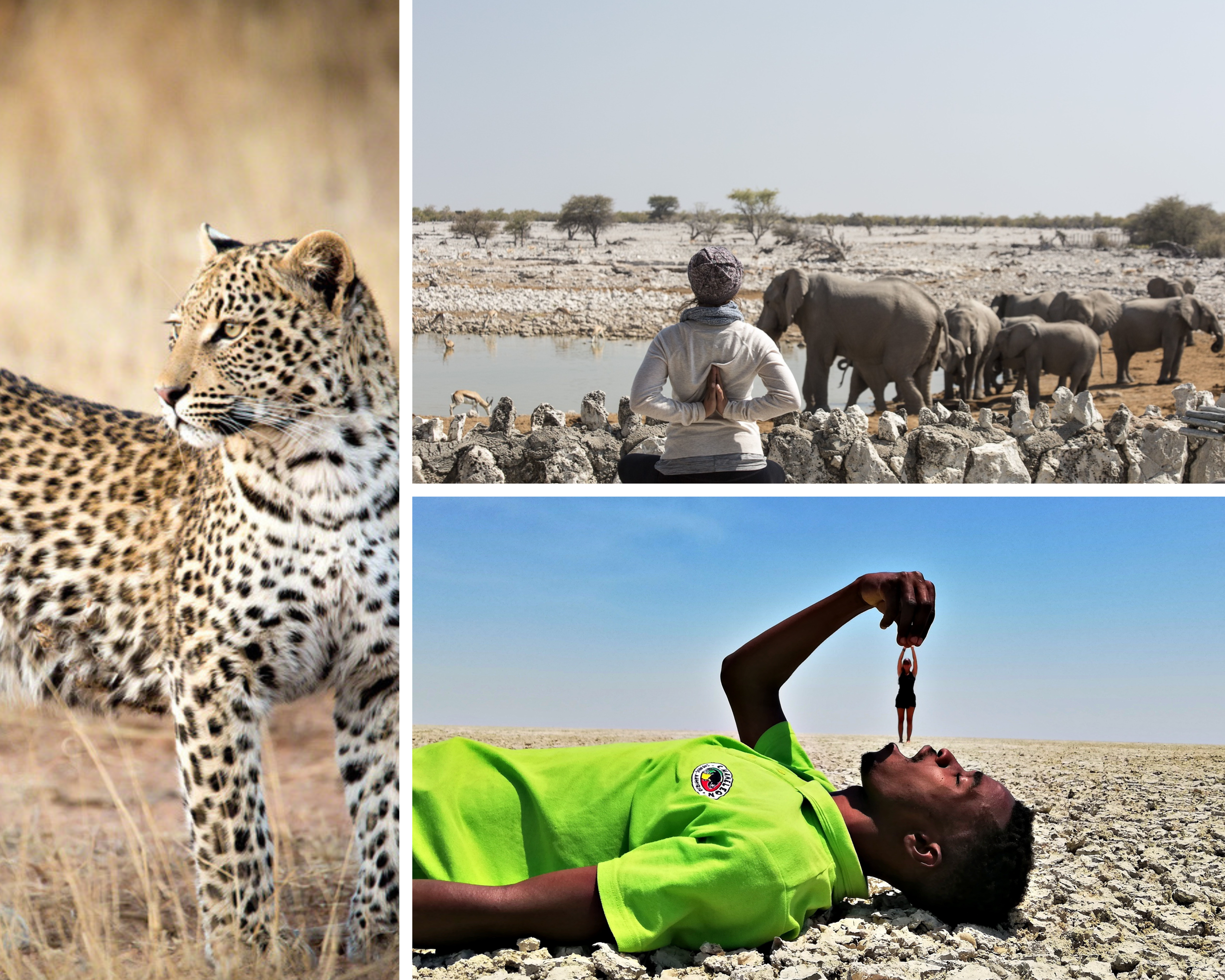 3 Day Etosha Budget Camping Tour