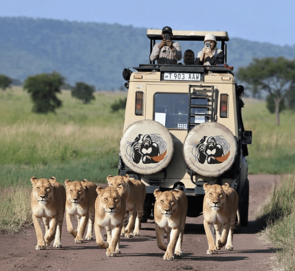 7 Days Karibu Tanzania – Welcome Tanzania Safari