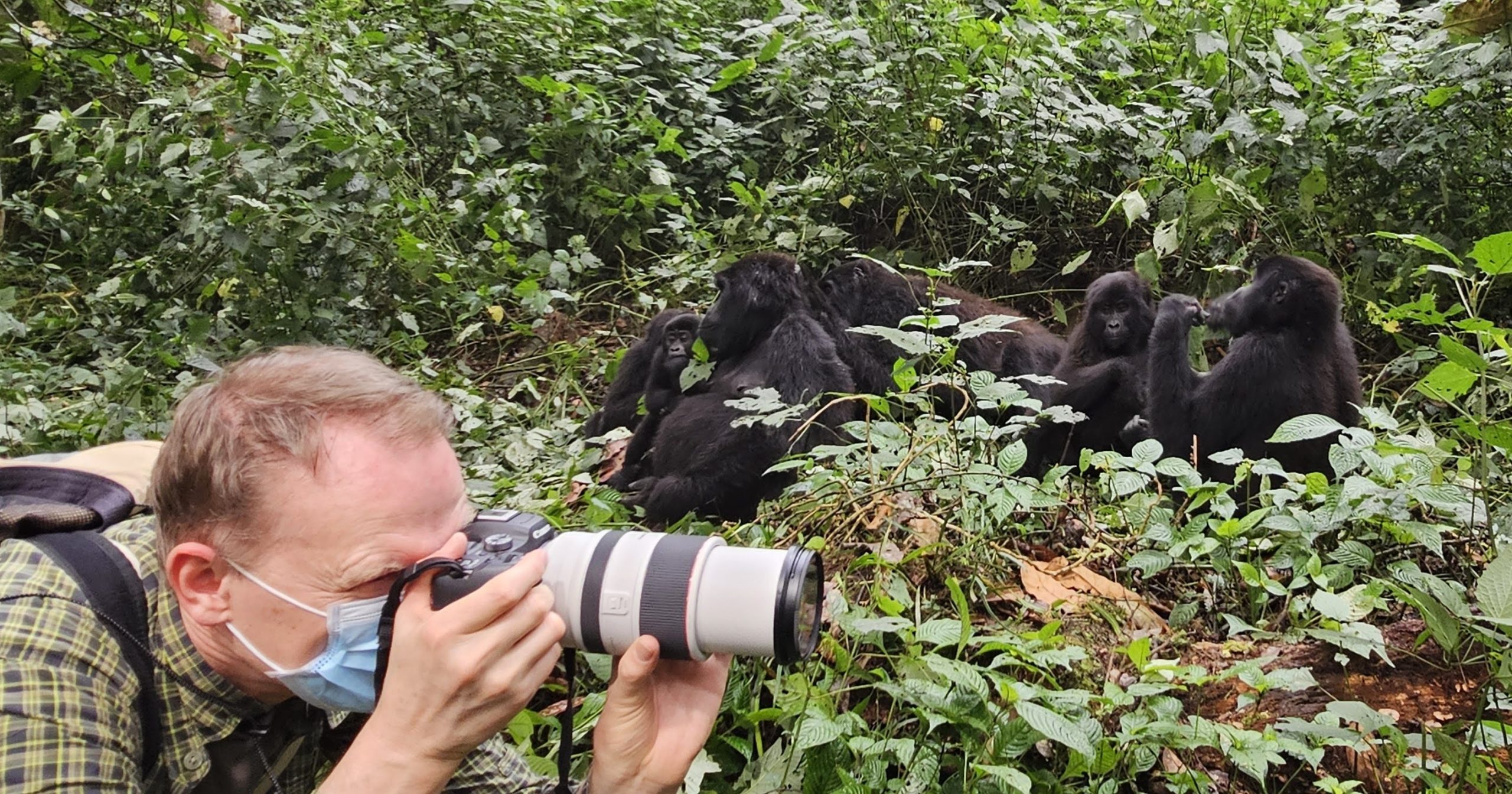 3 Days Uganda Gorilla Trekking Safari Starting in Entebbe