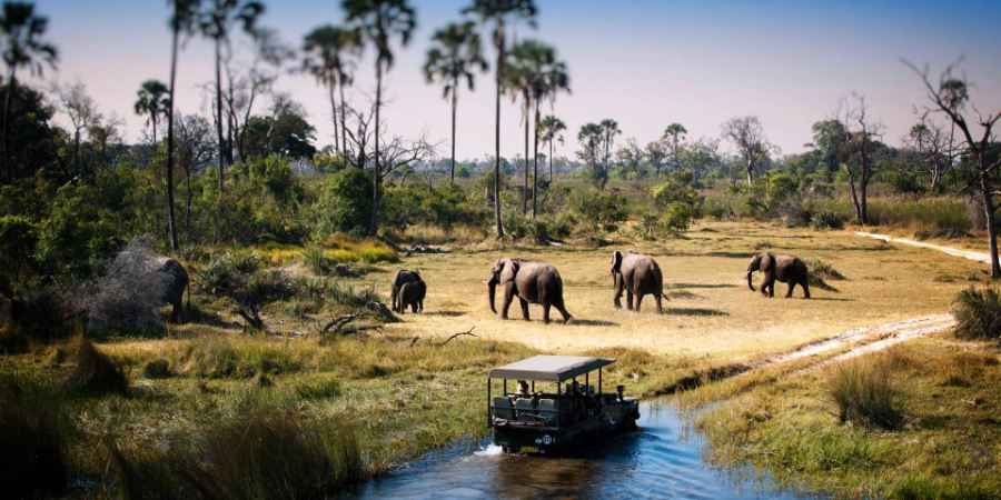 6 Days/5 Nights Manyara/Serengeti/Ngorongoro/ Tarangire Safari