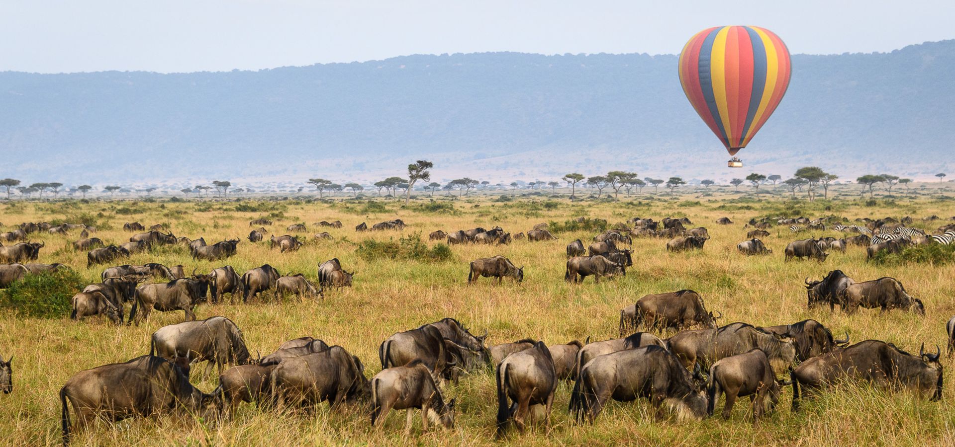 4 Days Masai Mara Group Safari