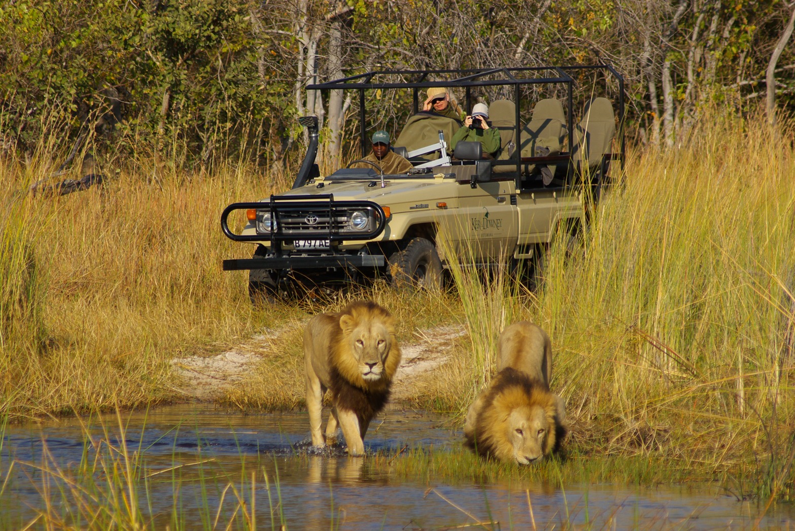 Okavango Delta & Chobe Safari with Victoria Falls