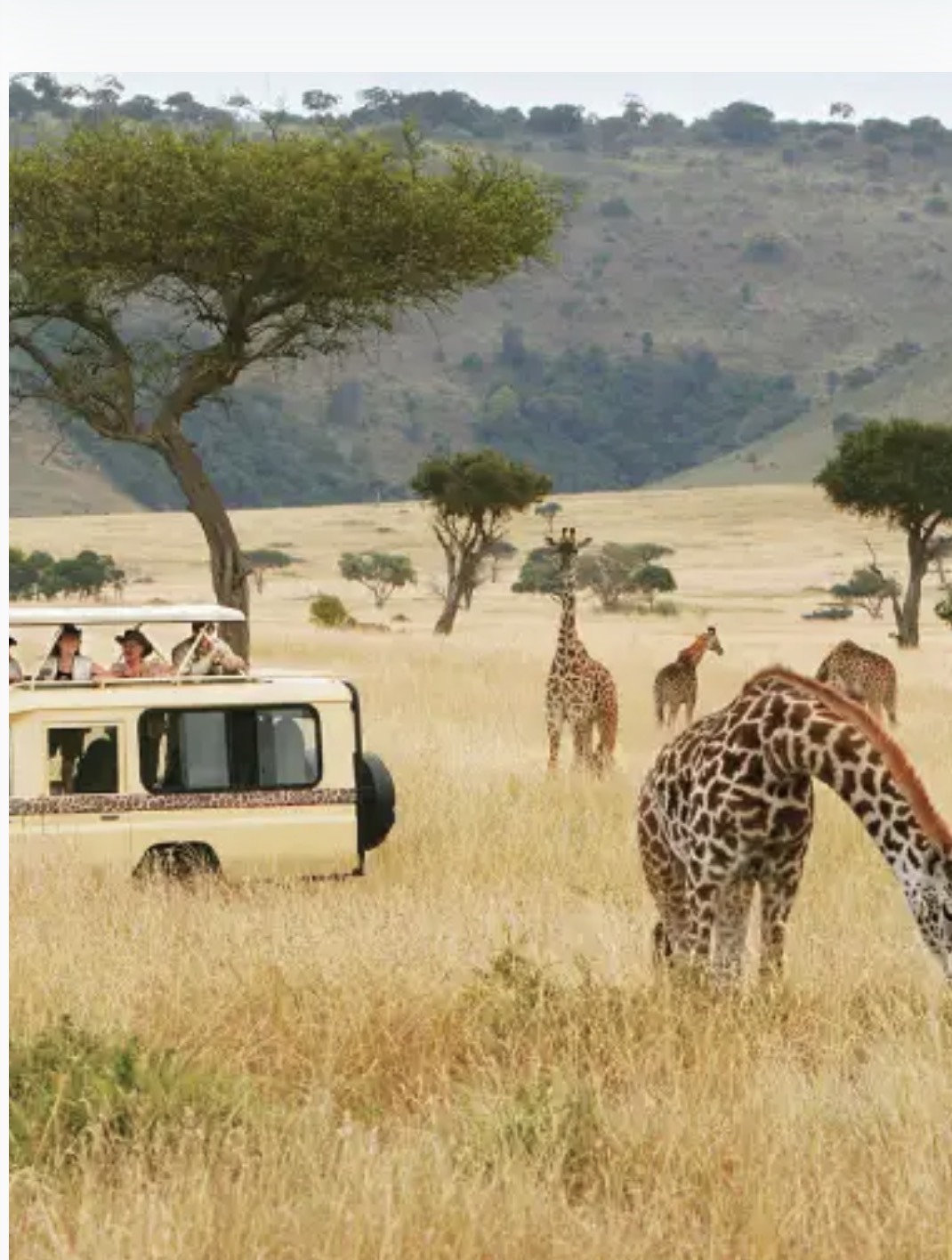 9 - Days Tanzania Safaris