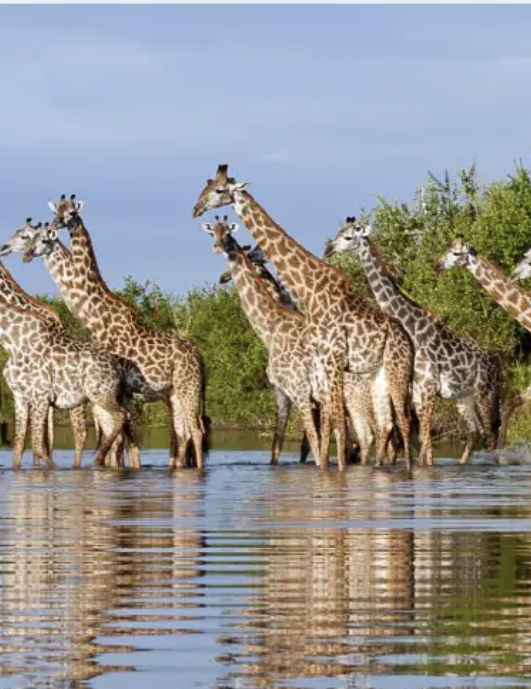 3 - Days Selous National Park
