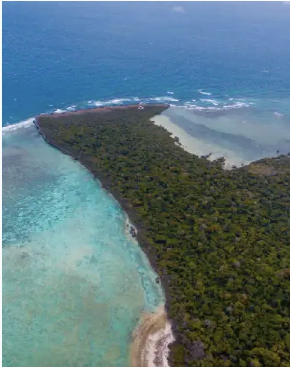 Pungume Island Tour