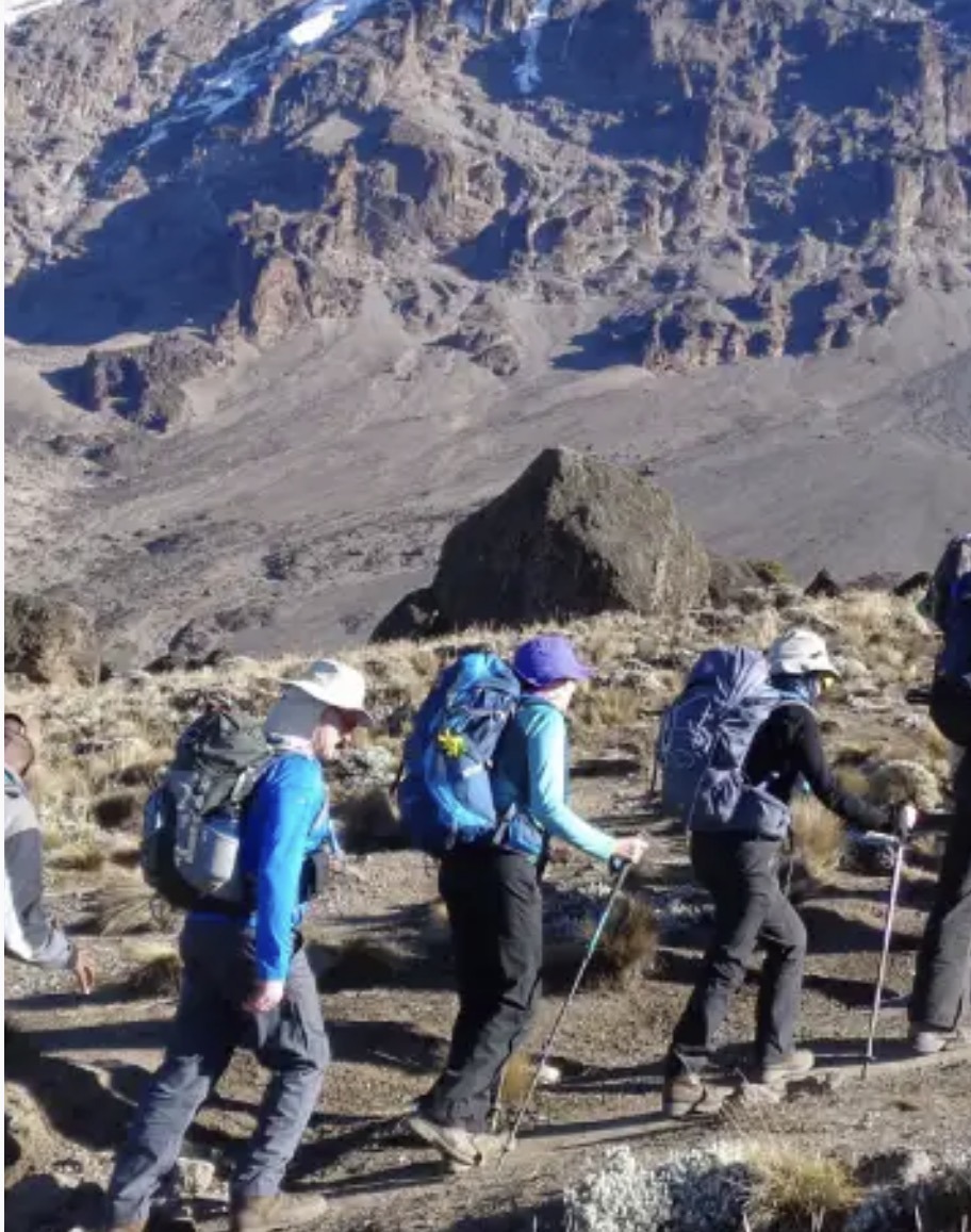 7 Days Lemosho Route